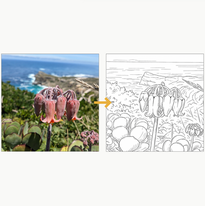 The Kindred Coloring Book