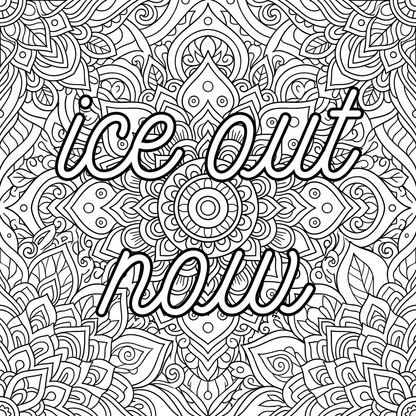 ICE OUT NOW: A Limited Edition Fundraiser Coloring Book